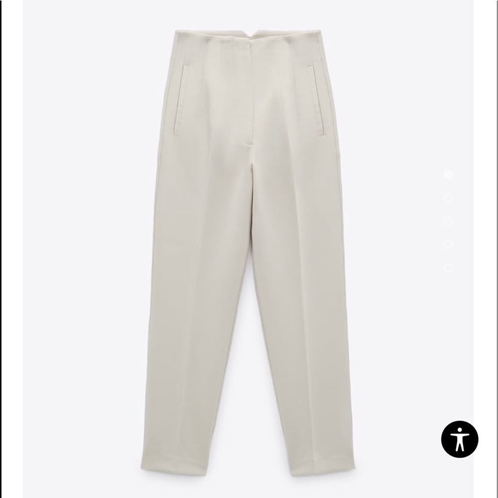 Zara High Waisted Pants